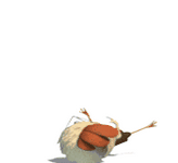 pic for chicken little  